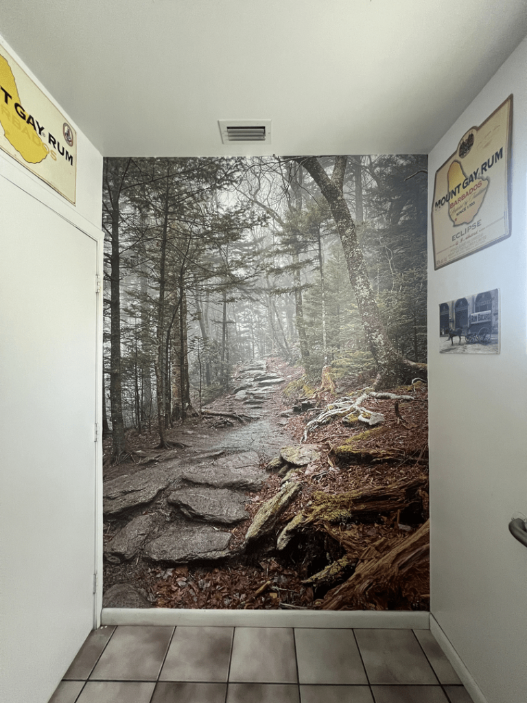 A photo of a forest trail mural on an indoor wall. The room also features tiled flooring and posters on the surrounding walls.